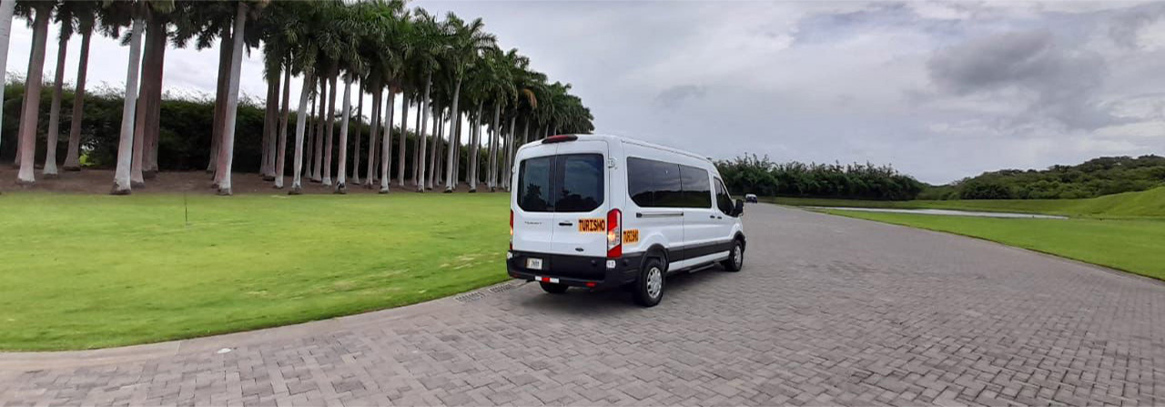 Image of a van with a background of palm trees